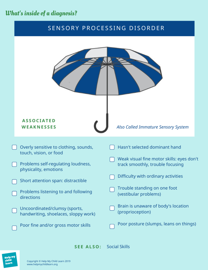 What's inside of a Sensory Processing Disorder Diagnosis? Help My