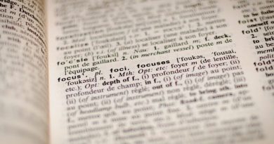 Glossary of Terms